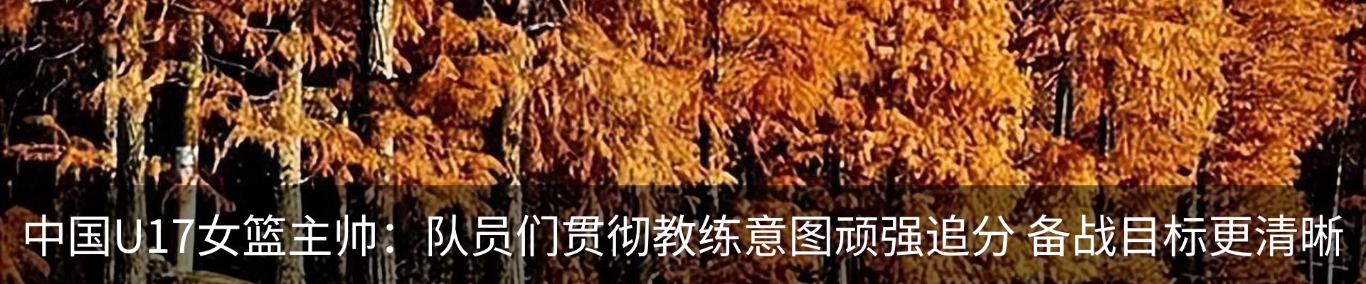 新闻动态