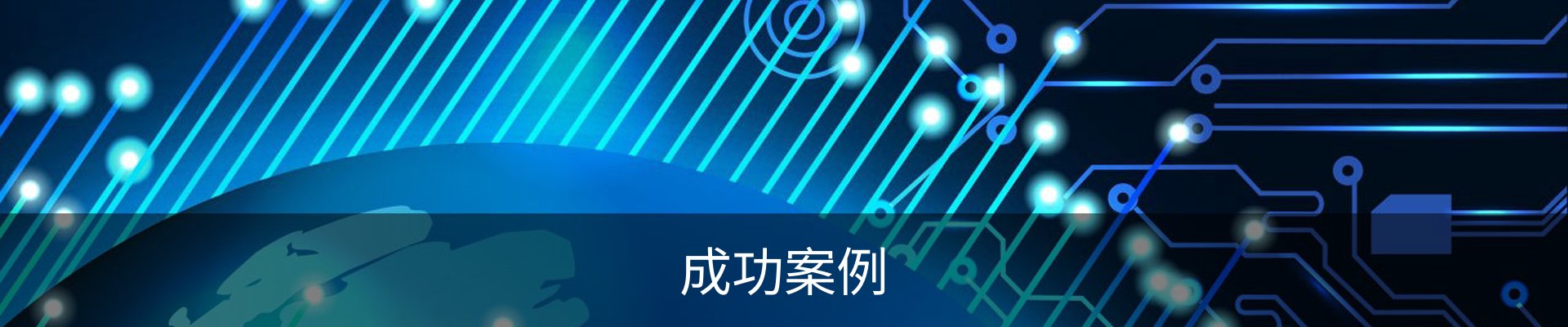 成功案例