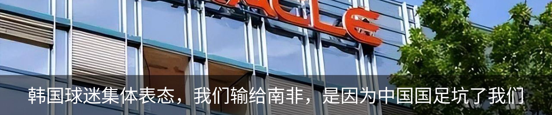 新闻动态